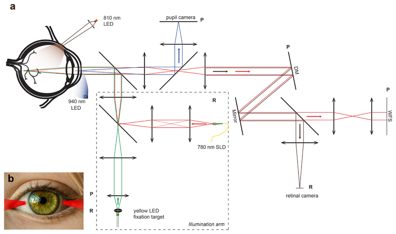 Fig. 2