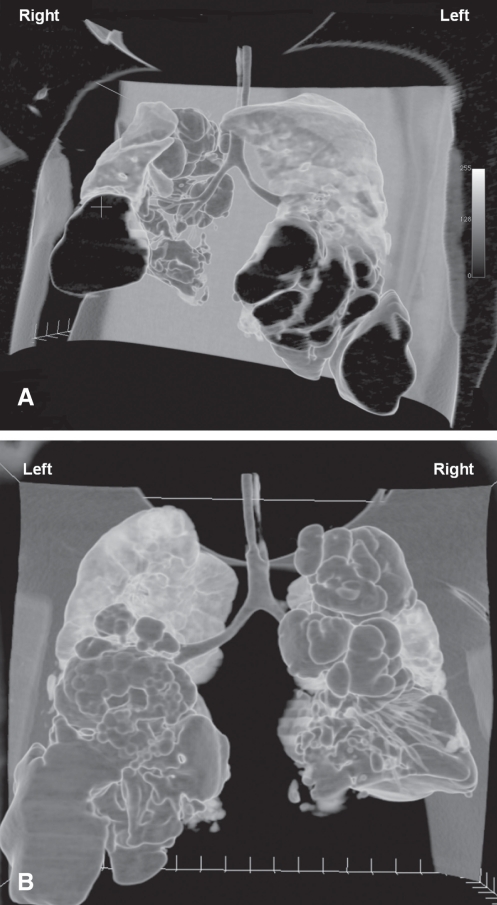 Figure 3)