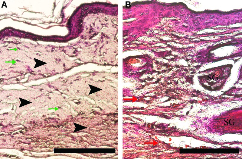 FIG. 7.