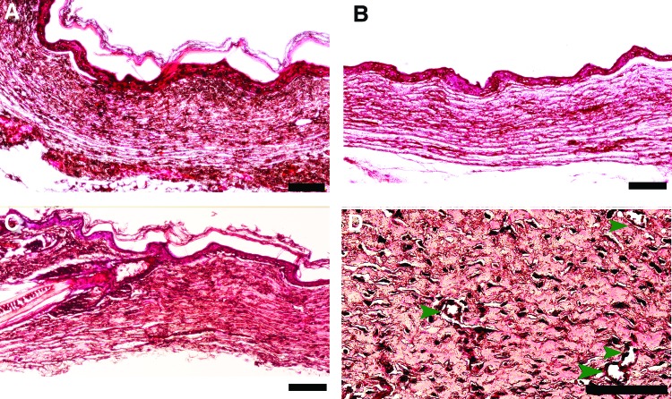 FIG. 5.