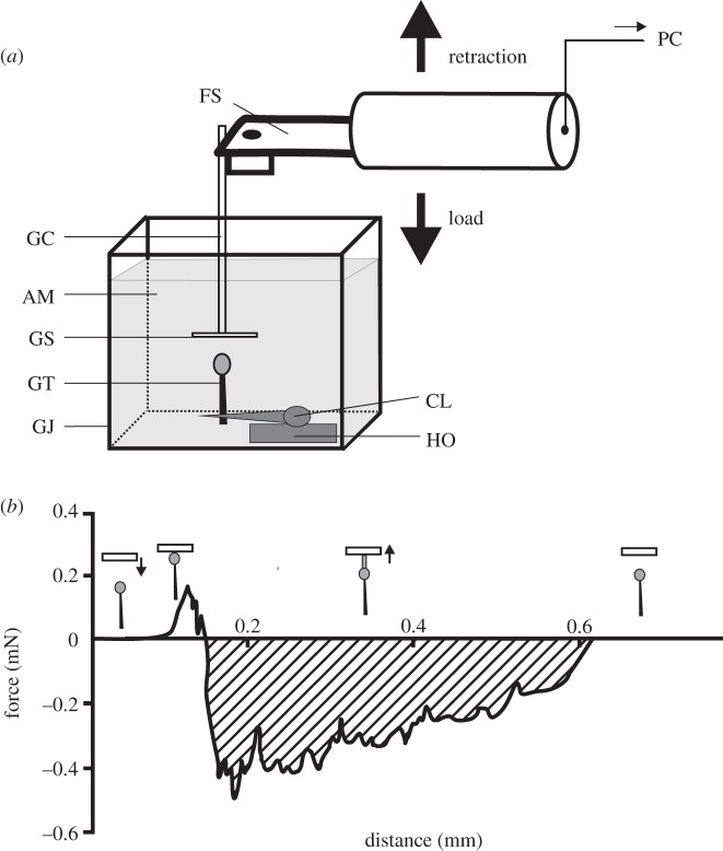 Figure 1.