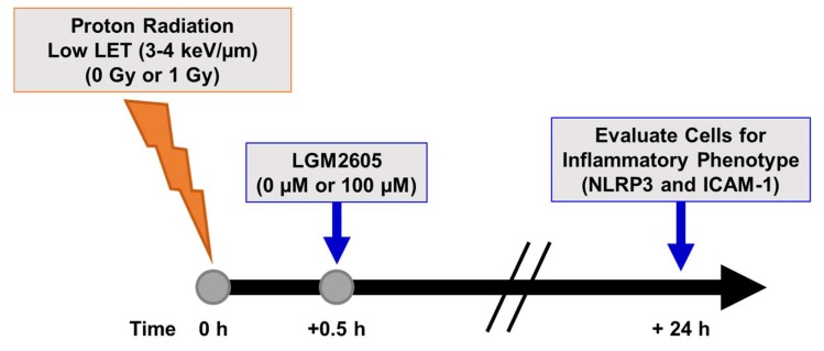 Scheme 3