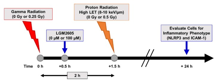 Scheme 5