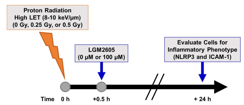 Scheme 4