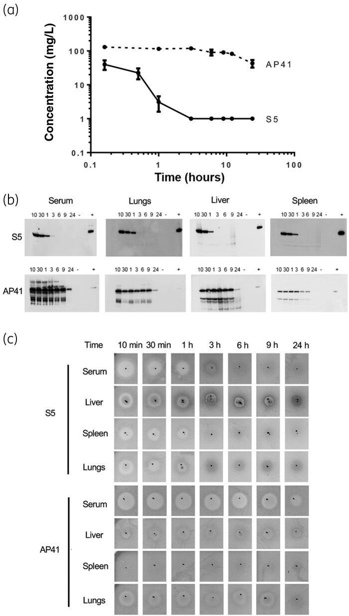 Figure 4.