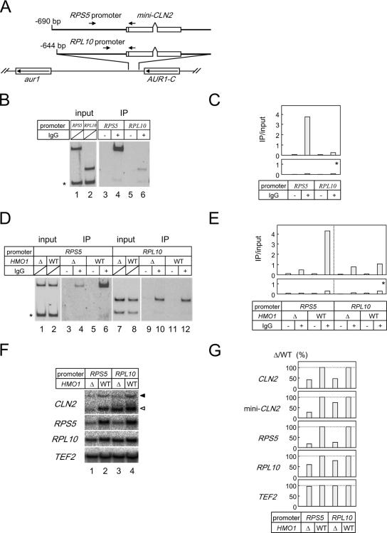 FIG. 7.