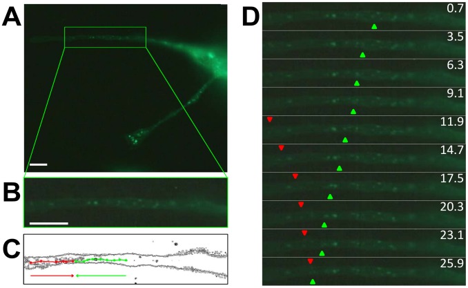 Figure 4