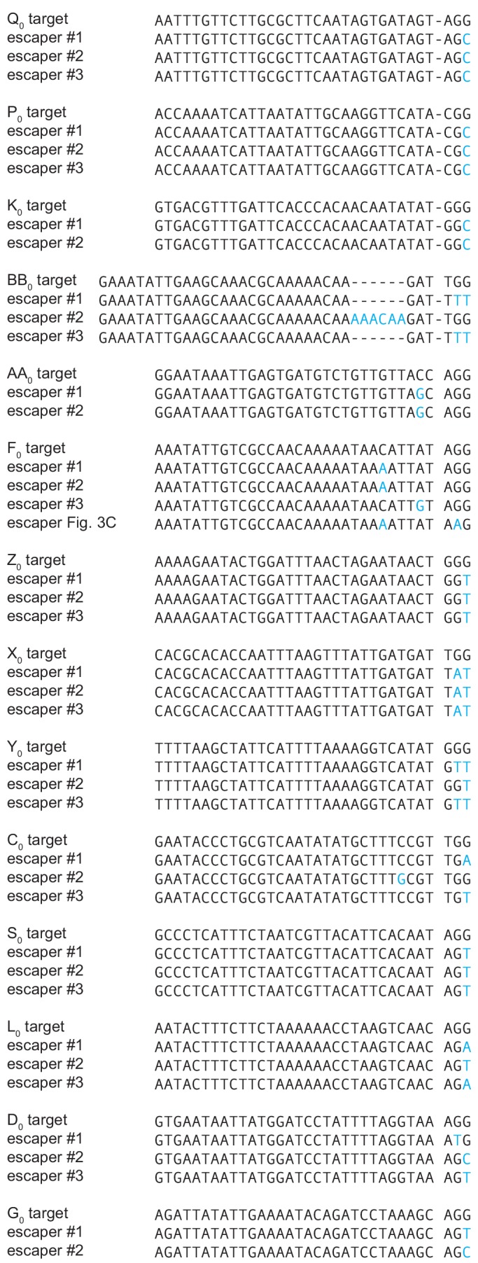 Figure 3—figure supplement 1.