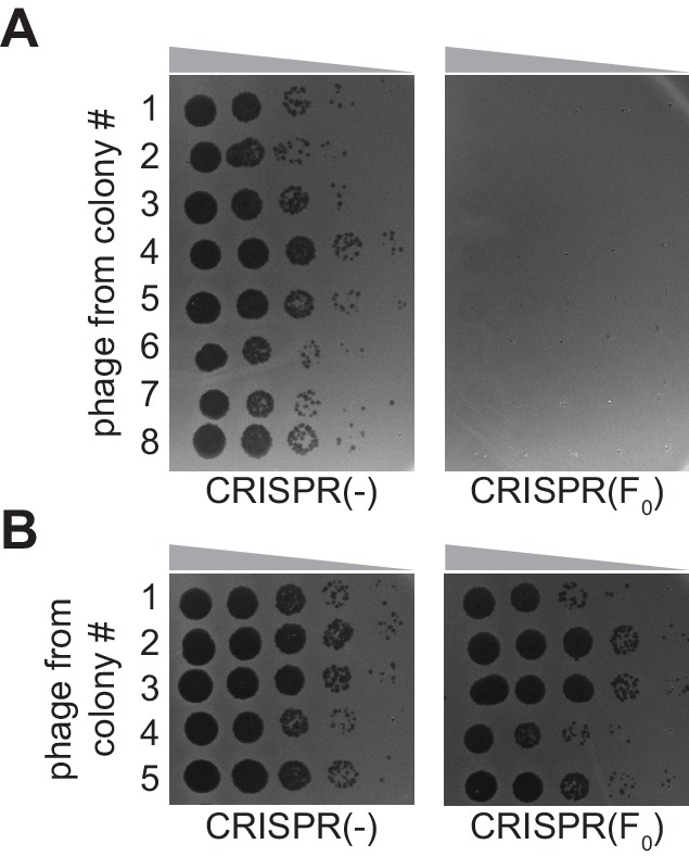 Figure 3—figure supplement 2.