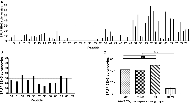 Figure 6