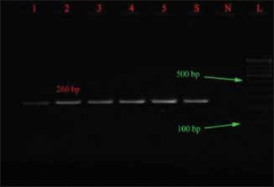 Figure-3