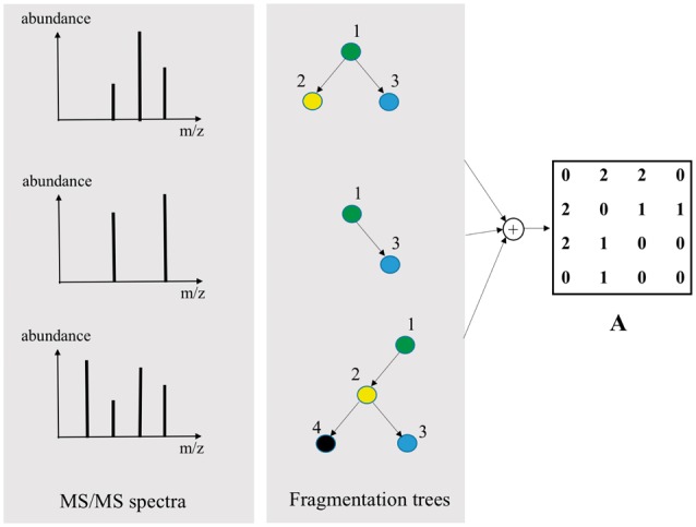 Fig. 3.