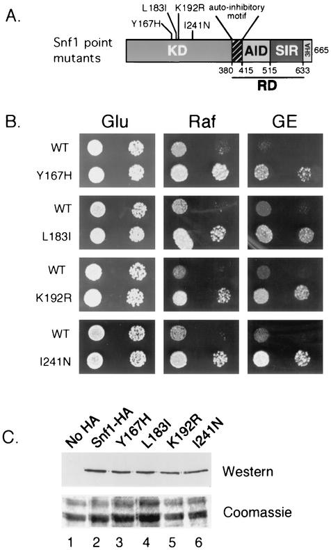 FIG. 4.