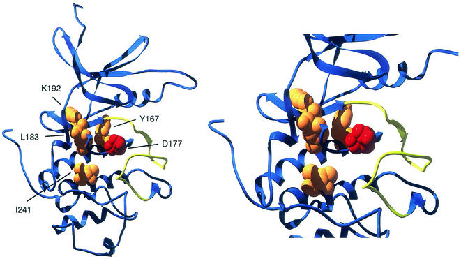 FIG. 8.