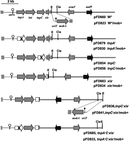 FIG. 2.