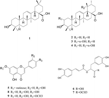 Fig. 10