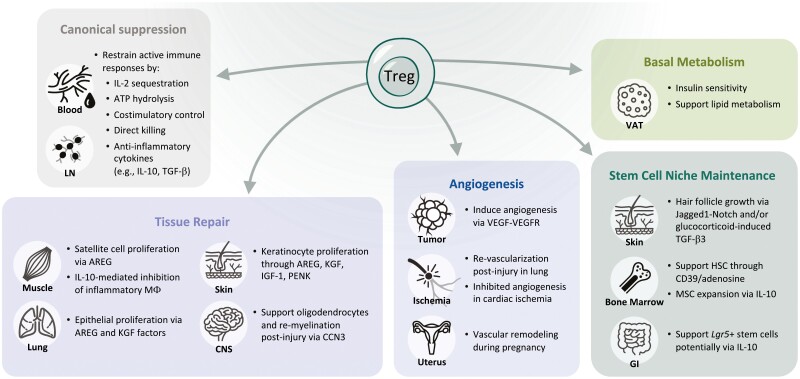 Graphical Abstract