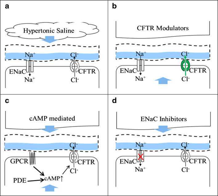 Fig. 2