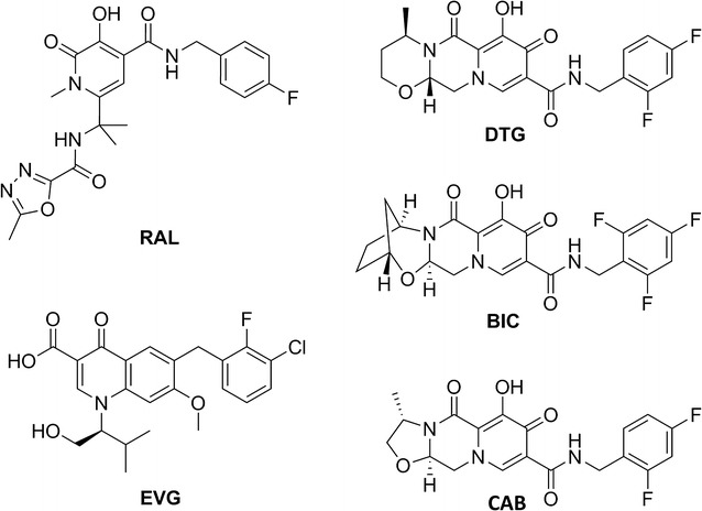 Fig. 1