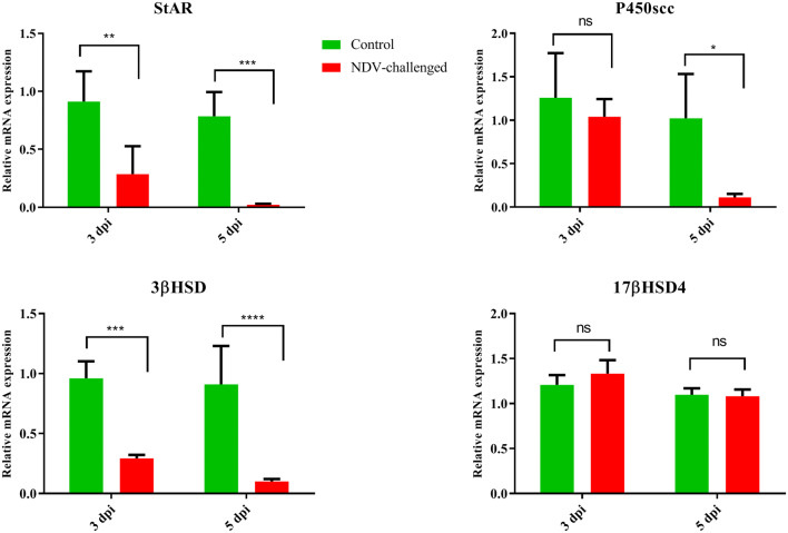 Figure 4