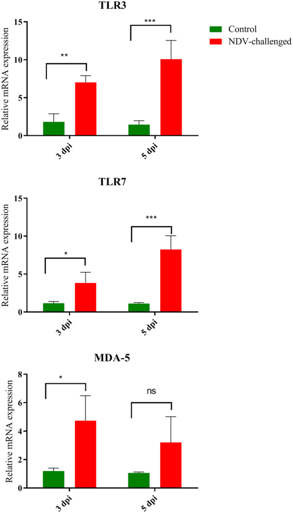 Figure 5