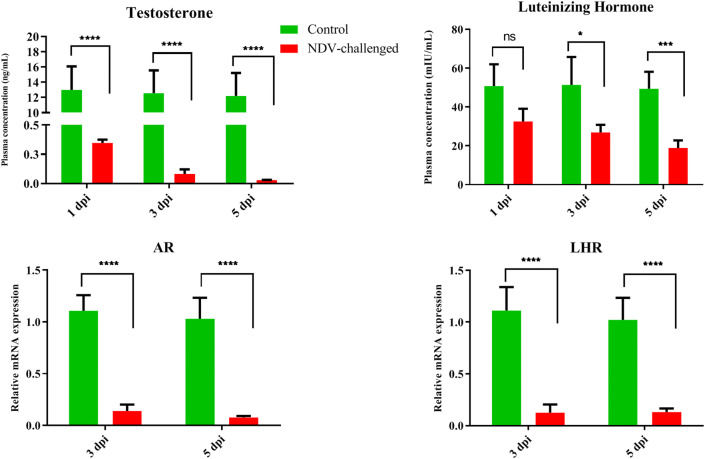 Figure 3