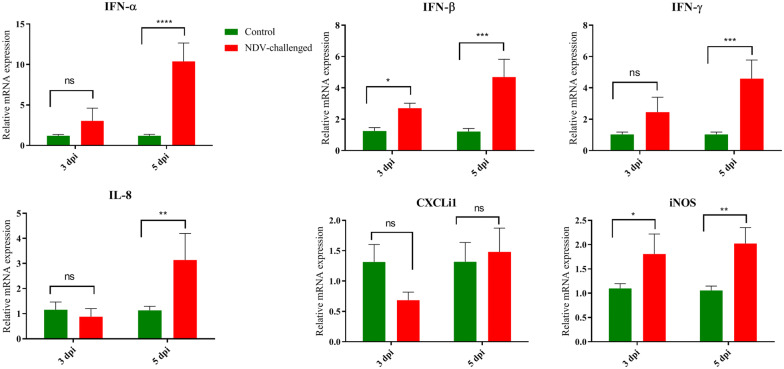 Figure 6