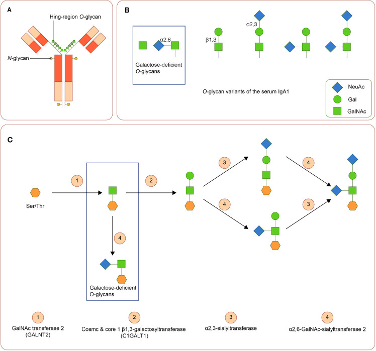 Figure 2