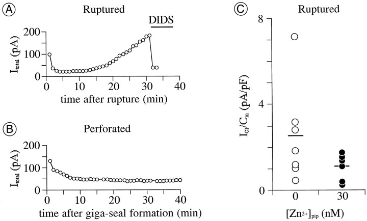 Fig. 3.