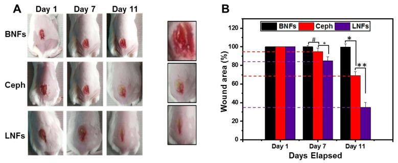 Figure 9