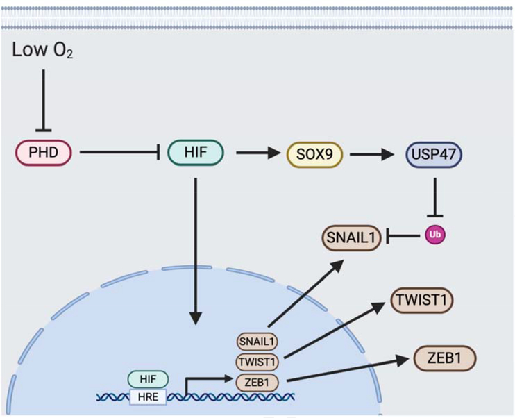 Fig. 2: