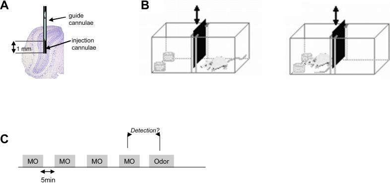 Figure1