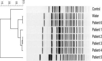 FIG. 1.