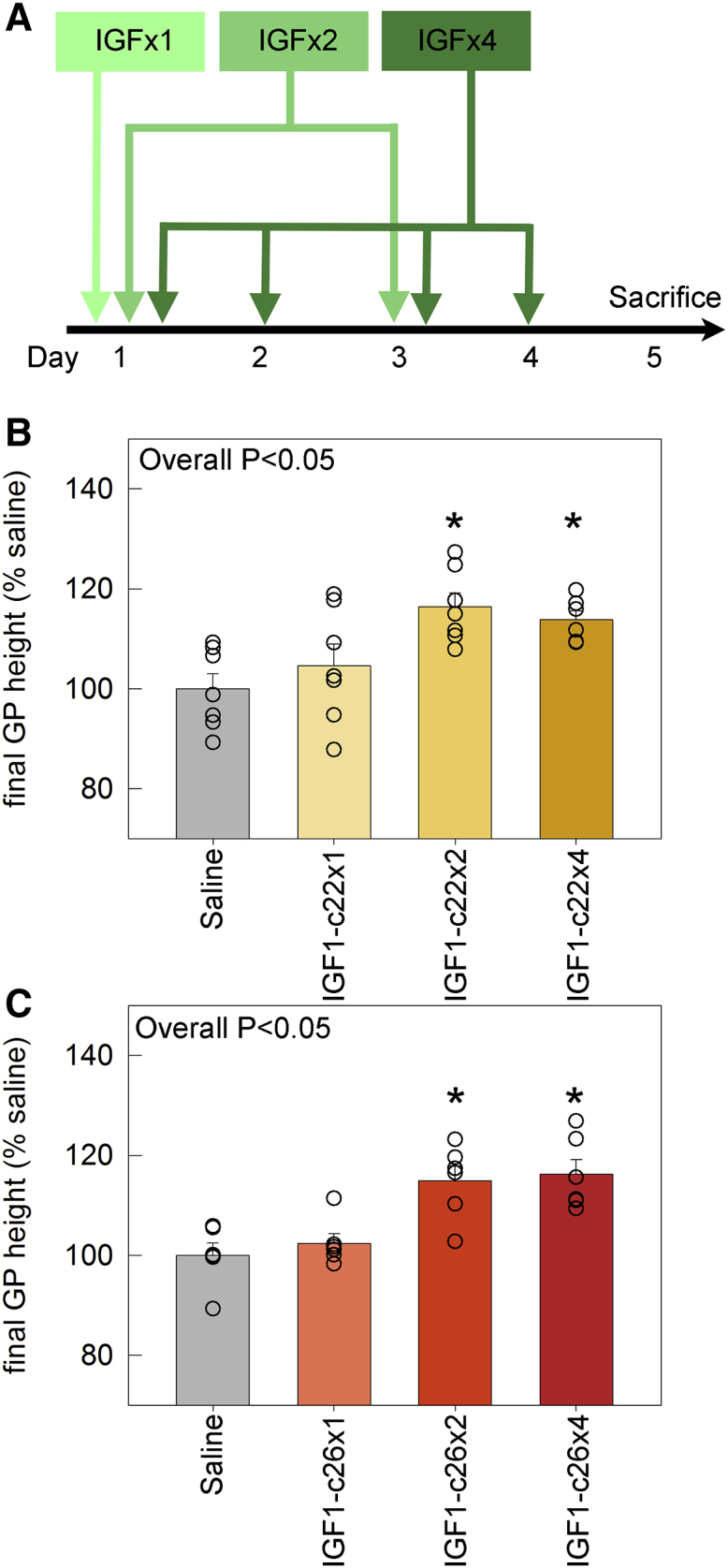 Figure 6