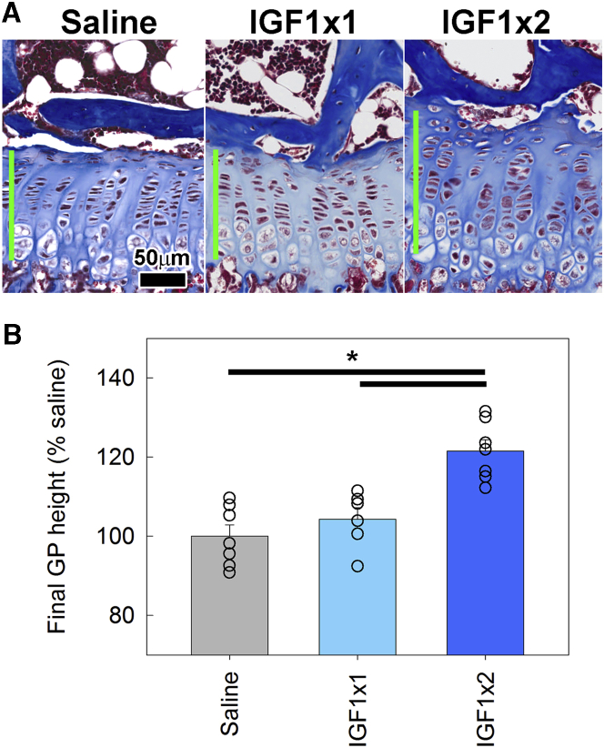 Figure 4