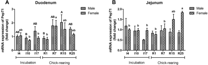 Figure 5