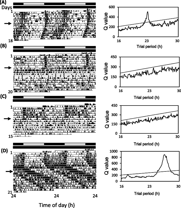 Fig. 4