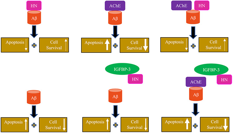 Figure 12.