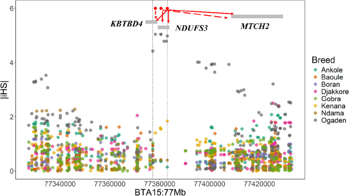 Fig. 4