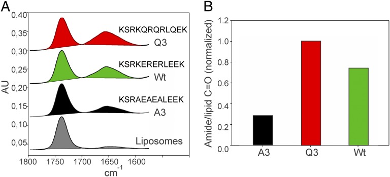 Fig. 3.