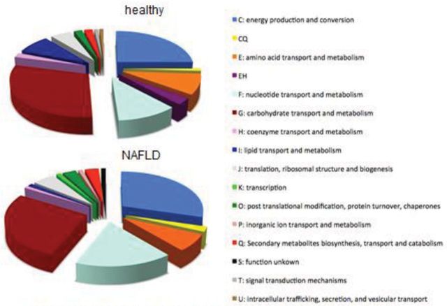 graphic file with name fiu002fig1g.jpg