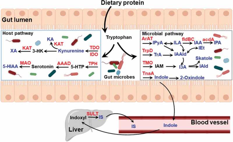 Figure 3.