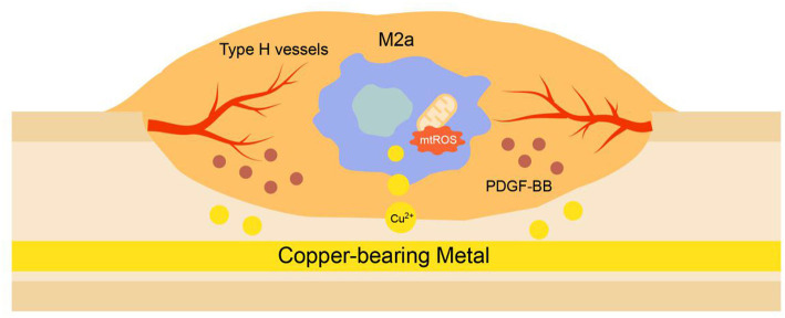 Graphical Abstract