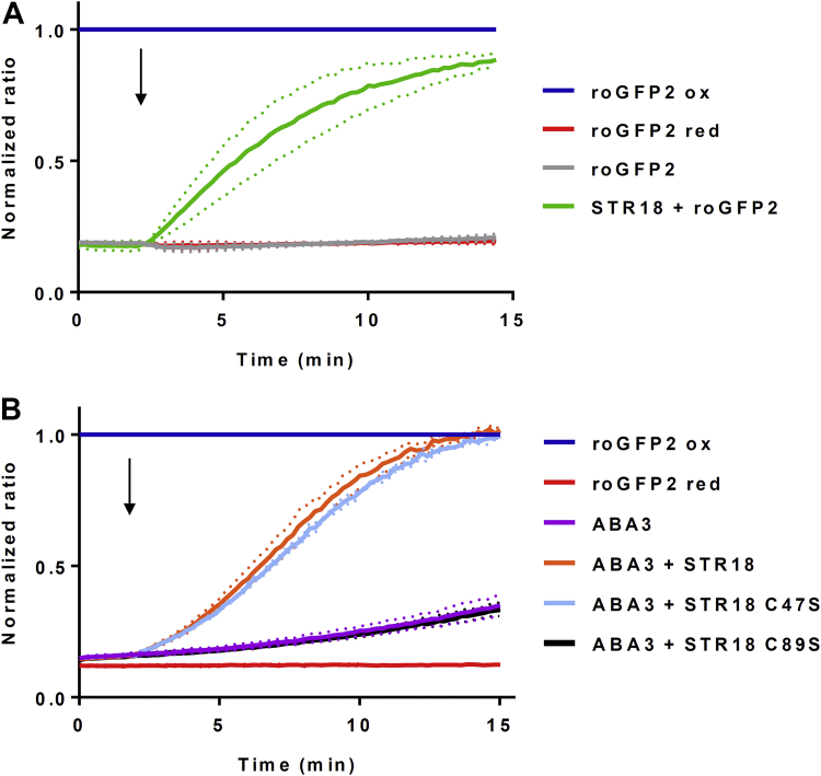 Figure 4