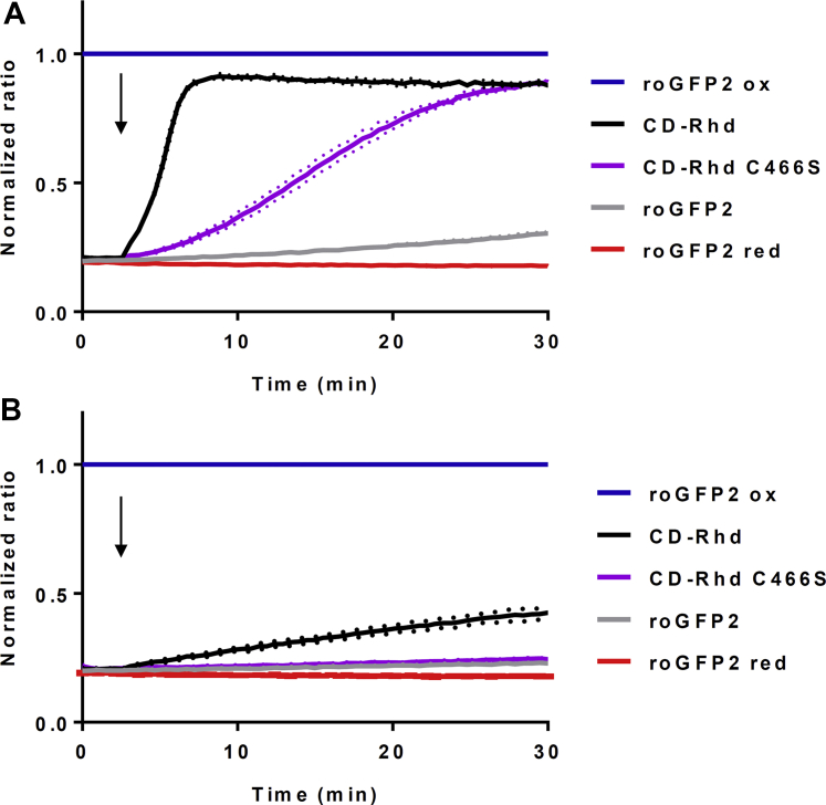 Figure 2