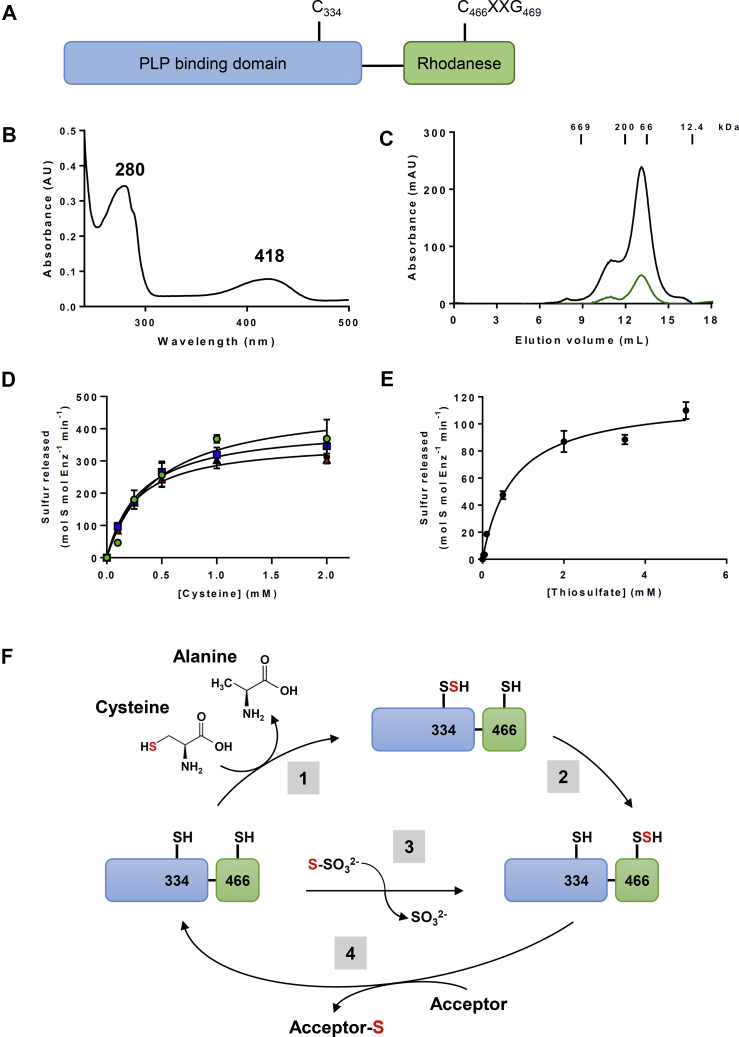 Figure 1