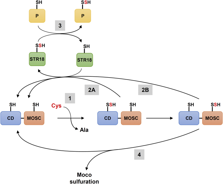 Figure 6