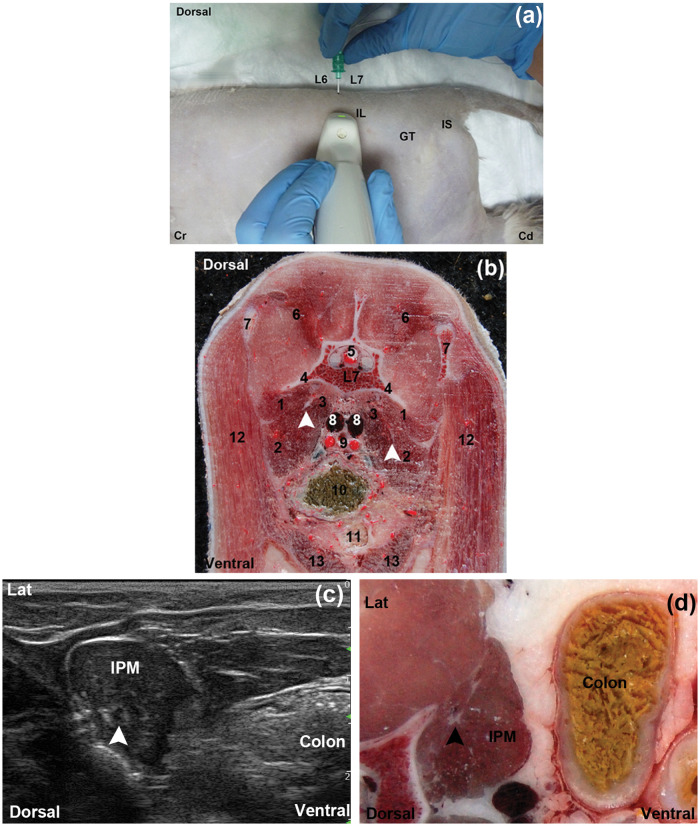 Figure 2