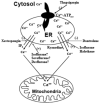 Fig. (1)