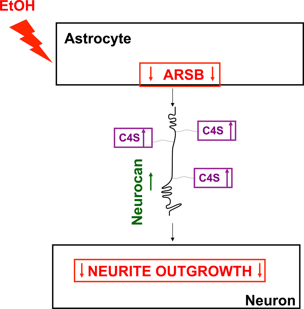 Fig. 9